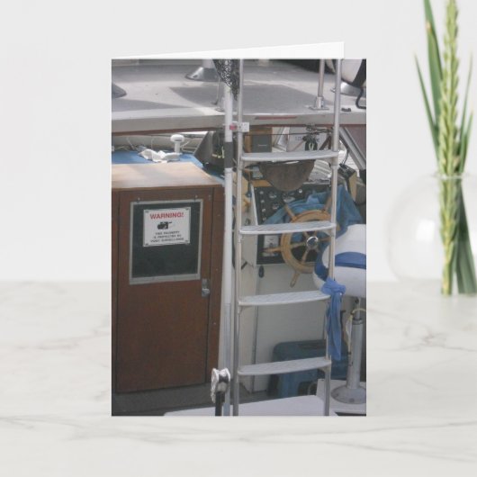 "Busy Duluth Visboot" Wenskaart Beterschap Kaart (Voorkant)