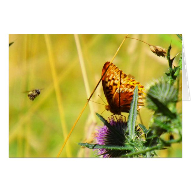 Busy Meadow (Voorkant Horizontaal)