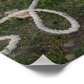 Busy Sheep Poster (Hoek)