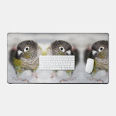 Butbel (Clavier et souris)