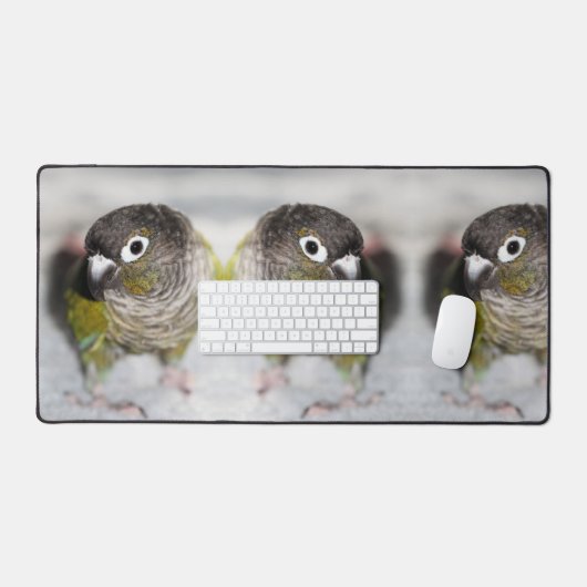 Butbel (Clavier et souris)