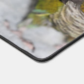 butbel bureaumat (Hoek)