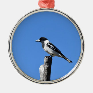 BUTCHER BIRD OP EEN POST IN PLATTELANDSAUSTRALIË METALEN ORNAMENT