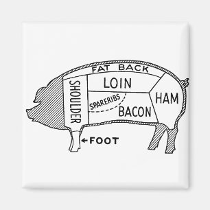 Butcher Chart Pig Magneet