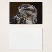 Buteo buteo (Devant & derrière)