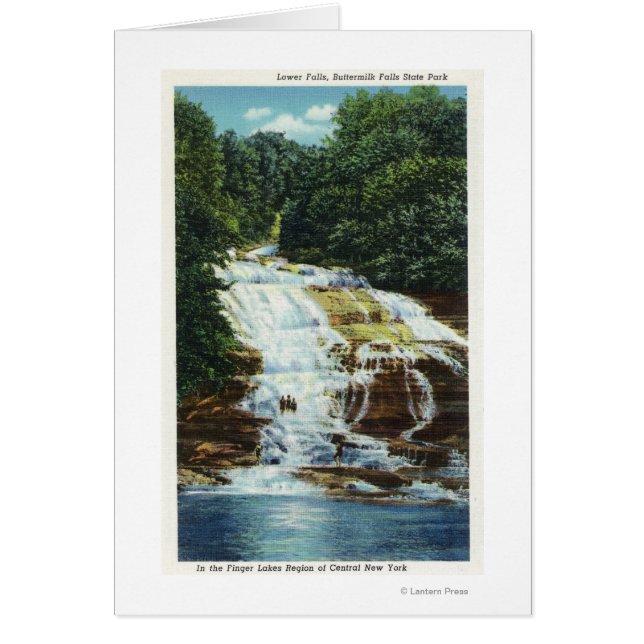 Butmilk Farms State Park Lower Falls View (Devant)