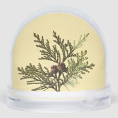 Butter Yellow Fern Photo  (Arrière)