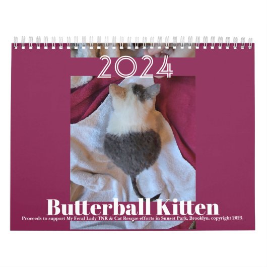 Butterball Kitten: 2024 Kalender (Hoes)