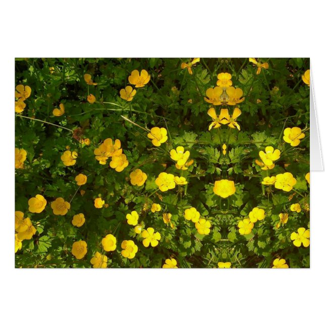 Buttercup Afbeelding Blank Card (Voorkant Horizontaal)