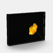 Buttercup Bloem pbcnm Fotoblokken (Links)