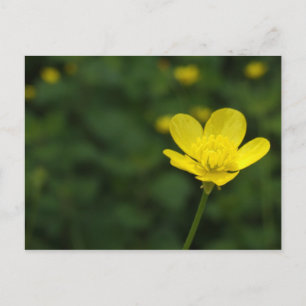 Buttercup Briefkaart
