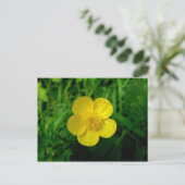 Buttercup Briefkaart (Staand voorkant)