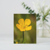 Buttercup briefkaarten (Staand voorkant)
