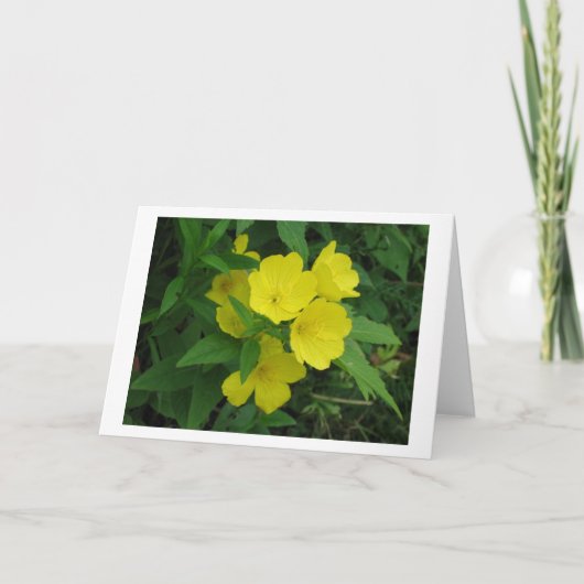 Buttercup Kaart (Voorkant)