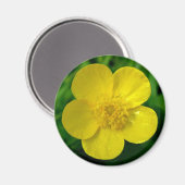 Buttercup Magneet (Voorkant / Achterkant)