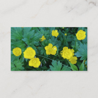 Buttercup Met Visitekaartje