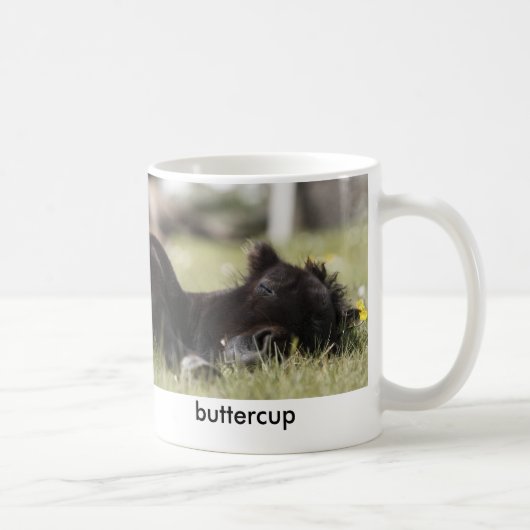 Buttercup Mok (Rechts)