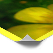 Buttercup Poster - Wildfower Art afdrukken (Hoek)
