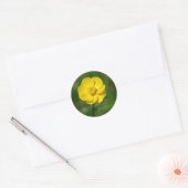 Buttercup sticker (Envelop)