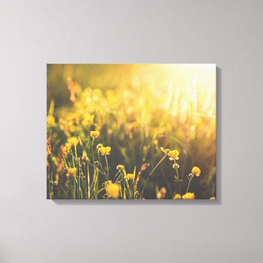 Buttercup Sundown Canvas Afdruk (Voorkant)