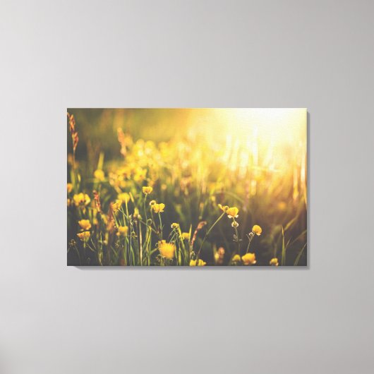 Buttercup Sundown Canvas Afdruk (Voorkant)