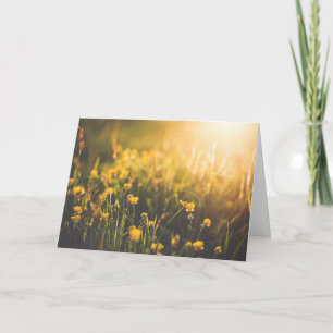 Buttercup Sundown Kaart
