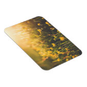 Buttercup Sundown Magneet (Rechterzijde)