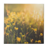 Buttercup Sundown Tegeltje (Voorkant)