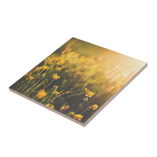Buttercup Sundown Tegeltje (Zijkant)