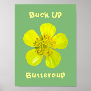 Buttercup ventilator - Buck Up Buttercup. Poster