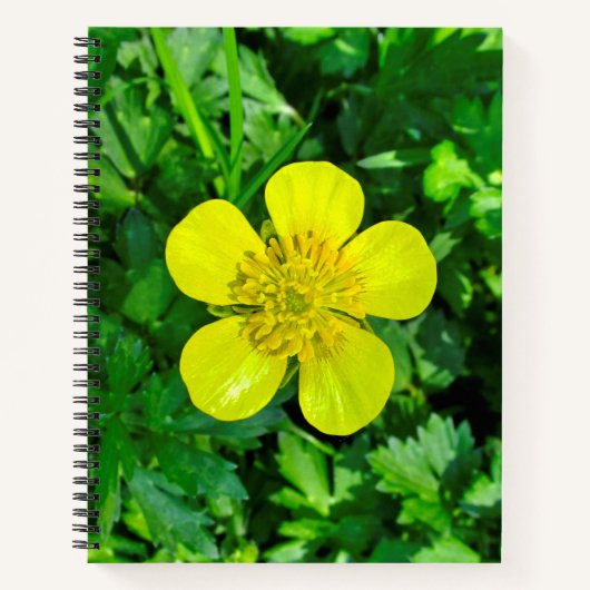 Buttercup ventilator. notitieboek (Voorkant)
