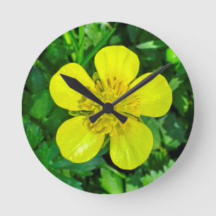 Buttercup ventilator. ronde klok
