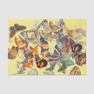 BUTTERFLES WEEFSELPAPIER IN GEEL TISSUEPAPIER