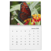 Butterflies [1] Wall Calendar Kalender (Jan 2026)