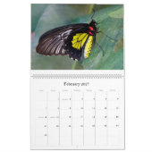 Butterflies 2018 kalender (Feb 2027)