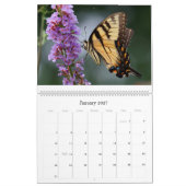 Butterflies 2018 kalender (Jan 2027)
