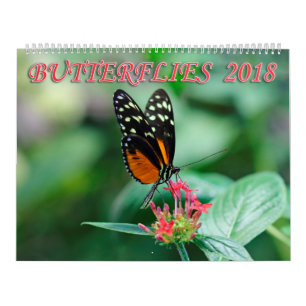 Butterflies 2018 kalender