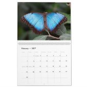 Butterflies 2019 kalender (Feb 2027)