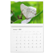 Butterflies 2019 kalender (Jan 2027)