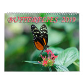 Butterflies 2019 kalender (Hoes)