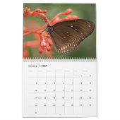 Butterflies 2023 kalender (Jan 2027)