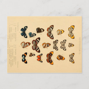 Butterflies 2 Briefkaart
