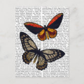 Butterflies 3 briefkaart (Voorkant)
