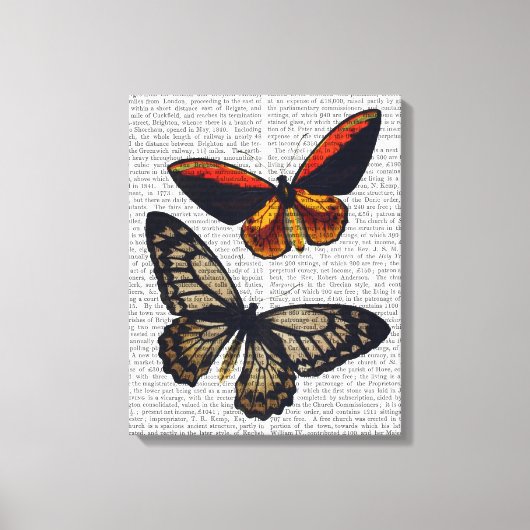 Butterflies 3 canvas afdruk (Voorkant)