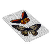 Butterflies 3 magneet (Rechterzijde)