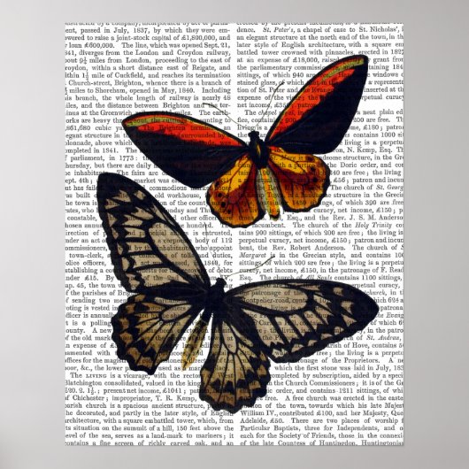 Butterflies 3 poster (Voorkant)