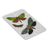 Butterflies 4 magneet (Rechterzijde)