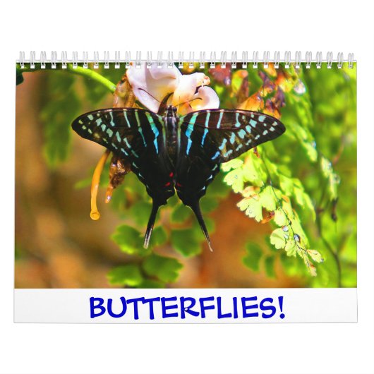Butterflies. Agenda Kalender (Hoes)
