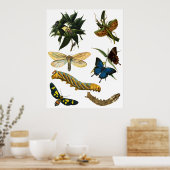 Butterflies Beetle Bugs snijdt collage kunst Poster (Keuken)