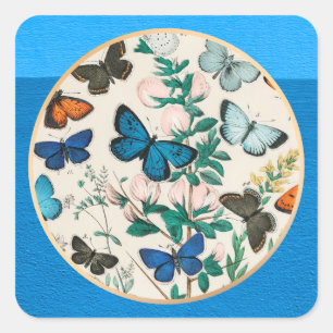 Butterflies, blauw lijst vierkante sticker
